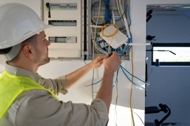 Best Electric Panel Repair  in Hayti, MO